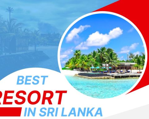 Best Beach Resorts In Sri Lanka