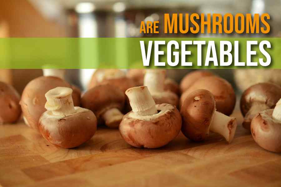 Are Mushrooms Vegetables