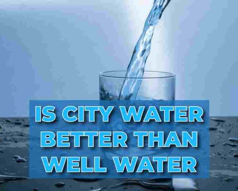Is City Water Better Than Well Water