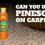 Can you use pine sol on carpet